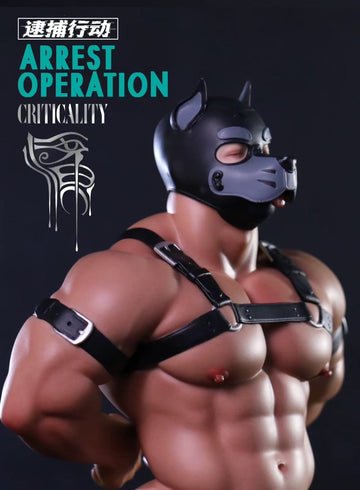 [GK instock] HEYHEY STUDIO - Arrest Operation - BCFIGURES